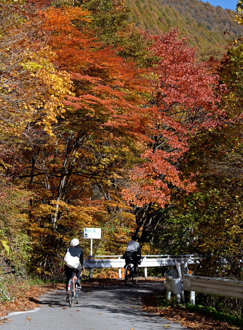 autumn_jikkoku