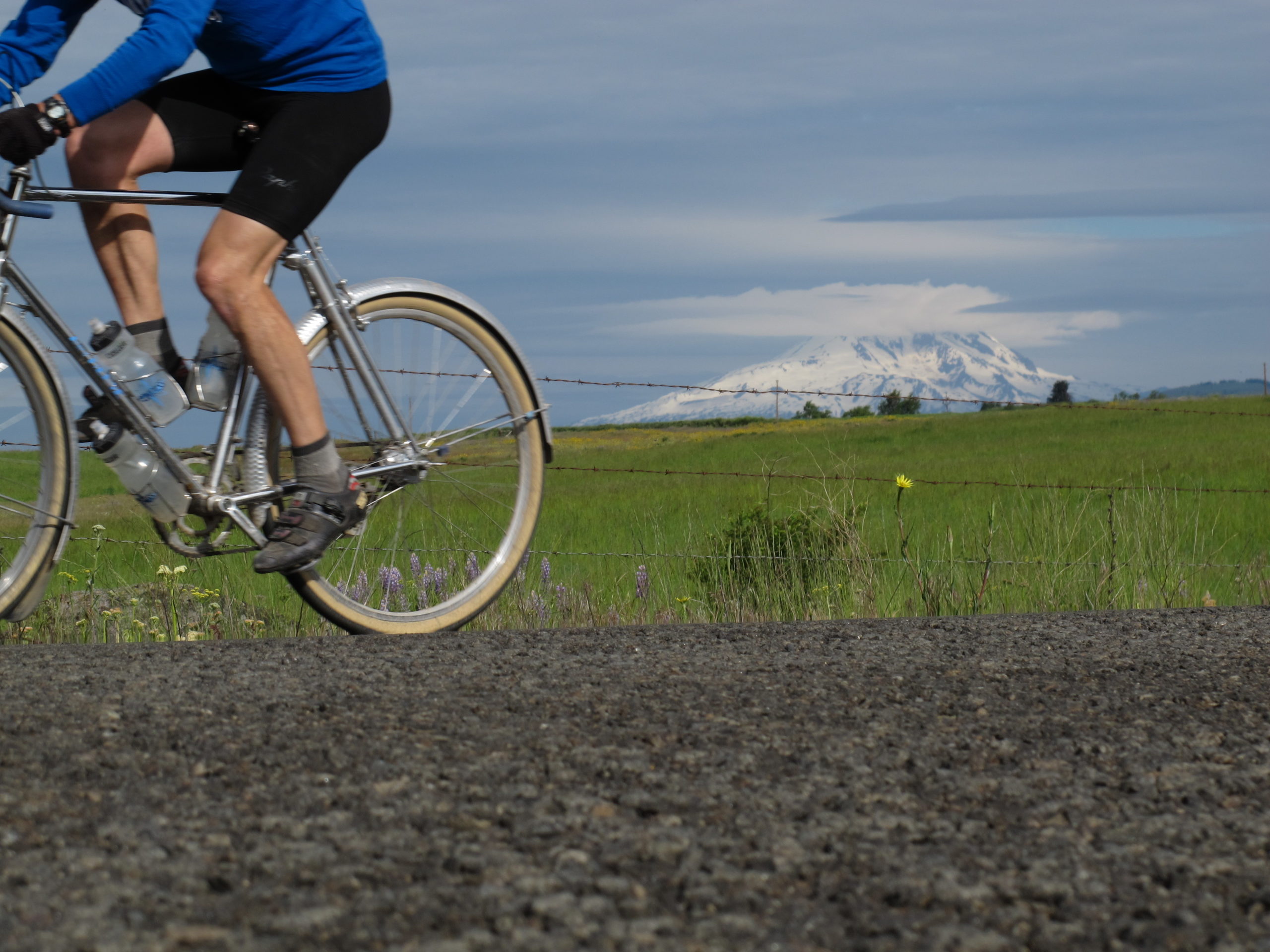 TPI and Tire Performance Rene Herse Cycles