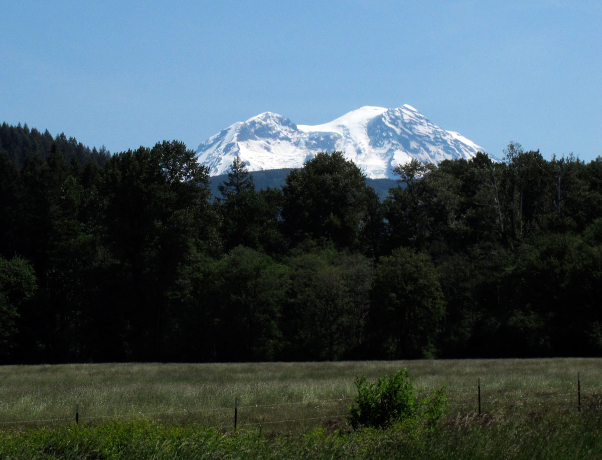 rainier