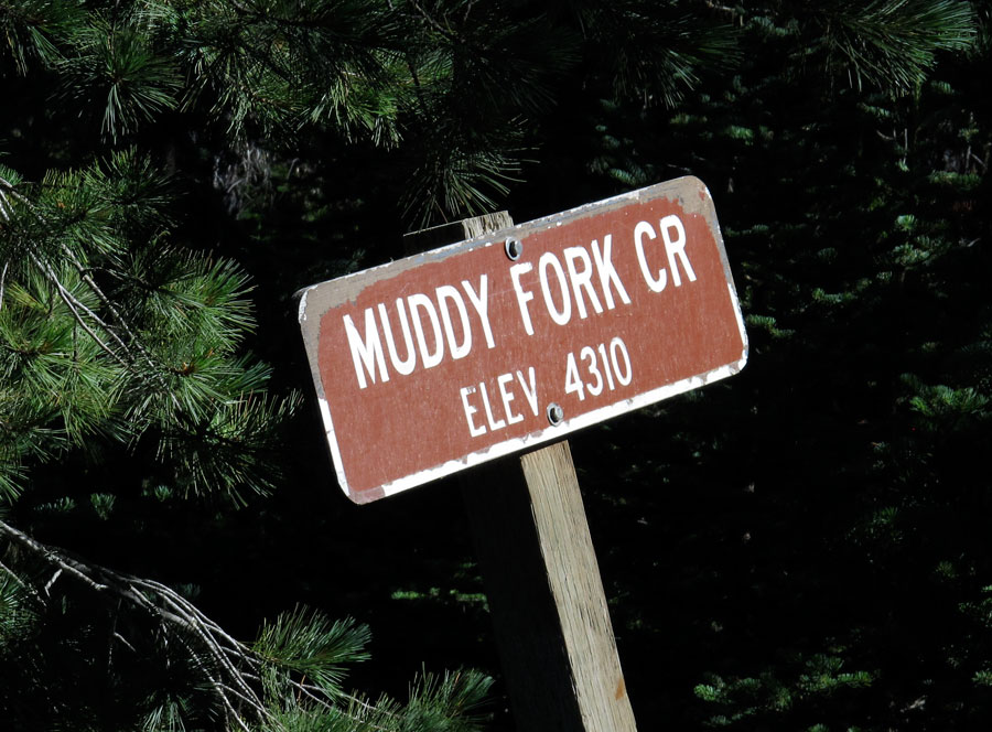 muddy_fork2