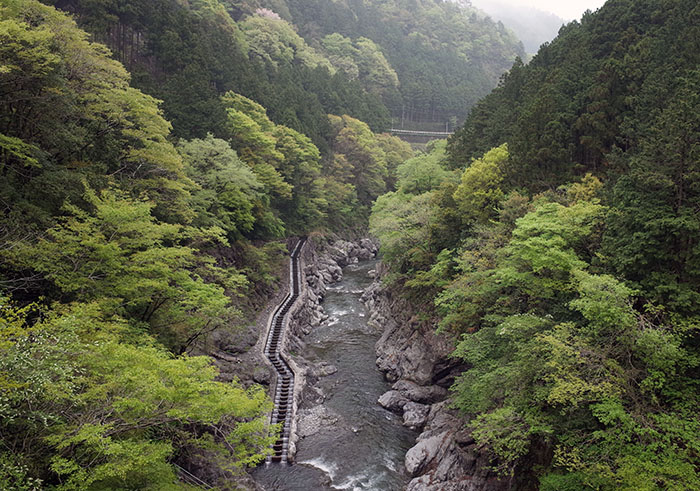 fish_ladder