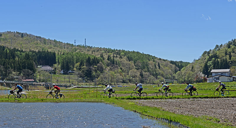 rice_field_cyclists