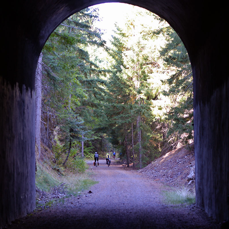 700C x 44 Snoqualmie Pass TC Tire Rene Herse Cycles