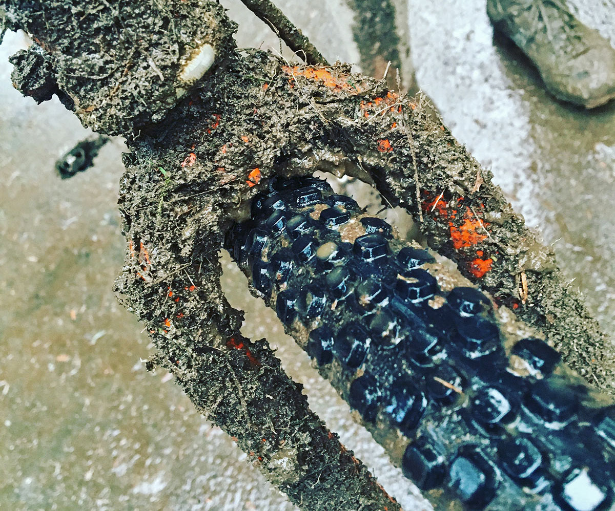 Knobby mud tires Clearance