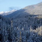 hurricane_ridge