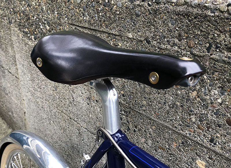 brooks saddle rain